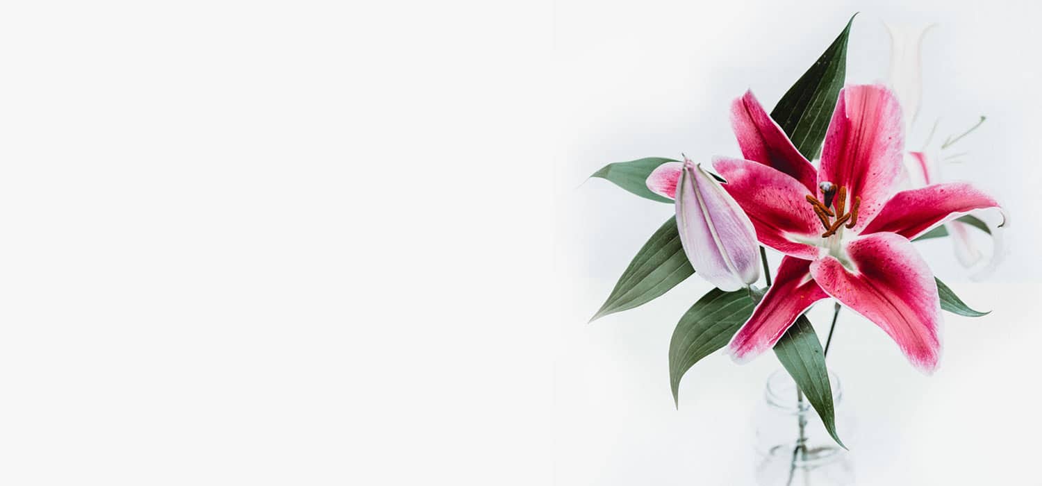 Flower Background