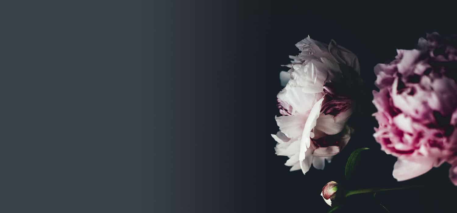 Flower Background