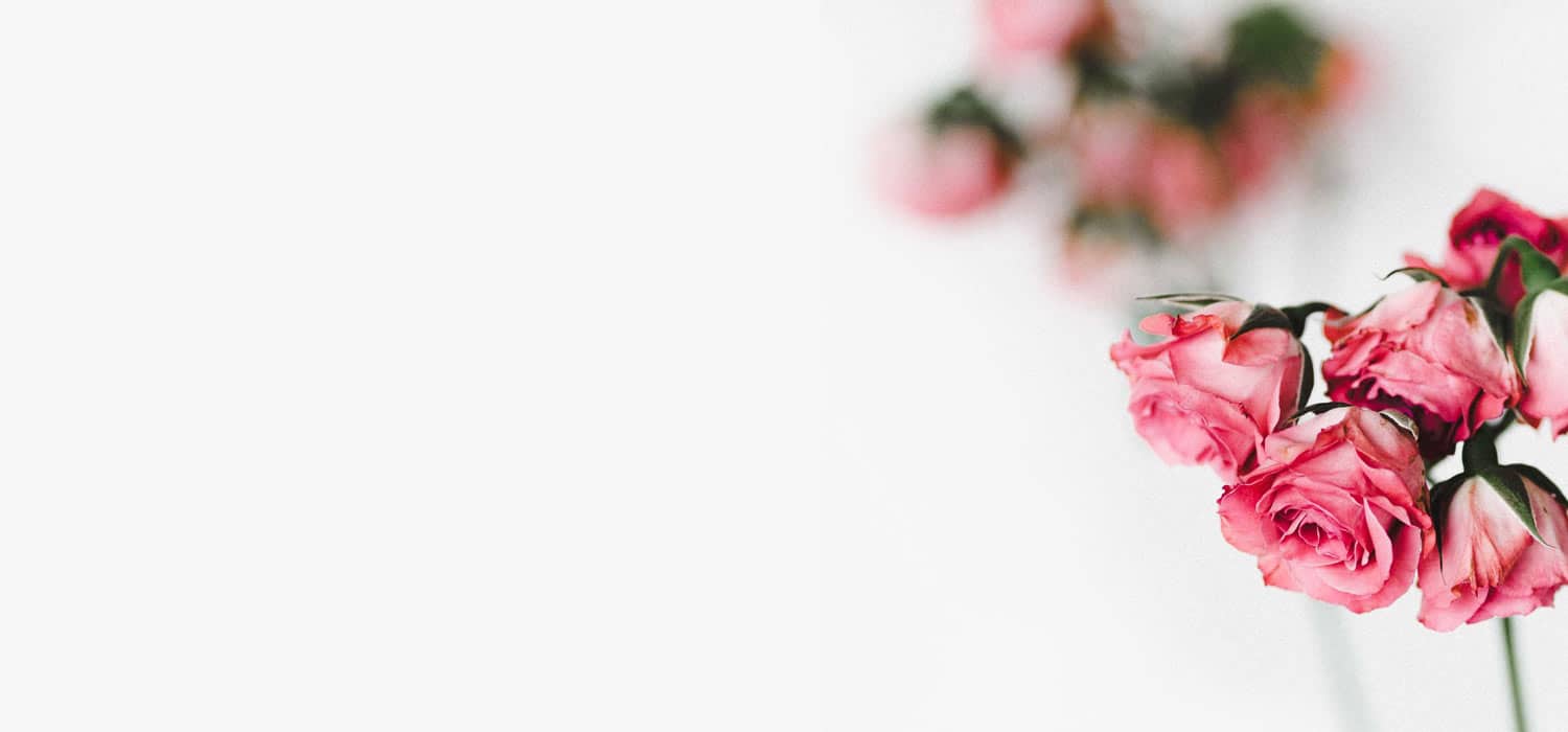 Flower background