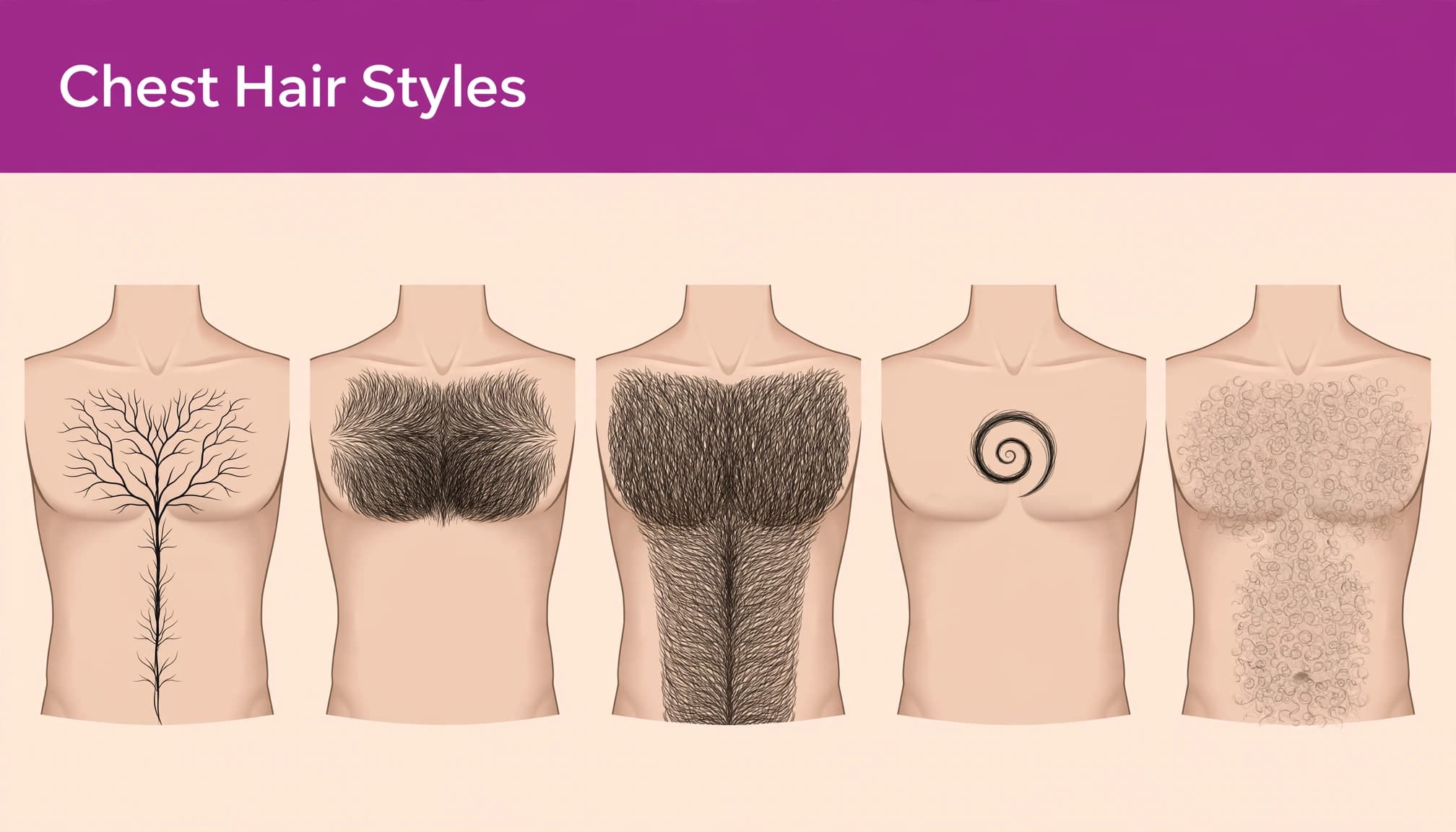 Five illustrated torso silhouettes comparing tree, top-heavy, rug, snail, and woolly-jumper chest hair styles.